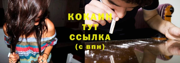 соль ск Белокуриха